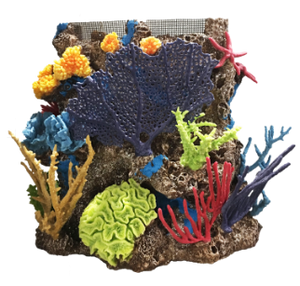 Creative Coral Designs